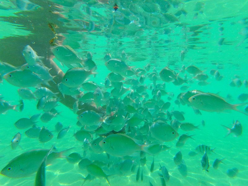 Mauritius 2017 296